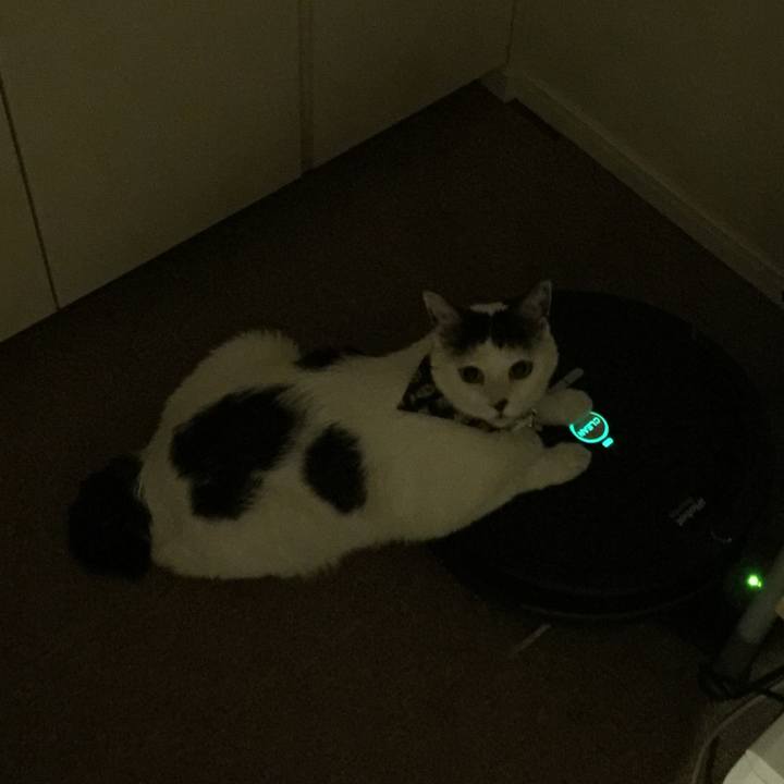 20bf0f8c decb 4aac 95df fe8a9756b63e