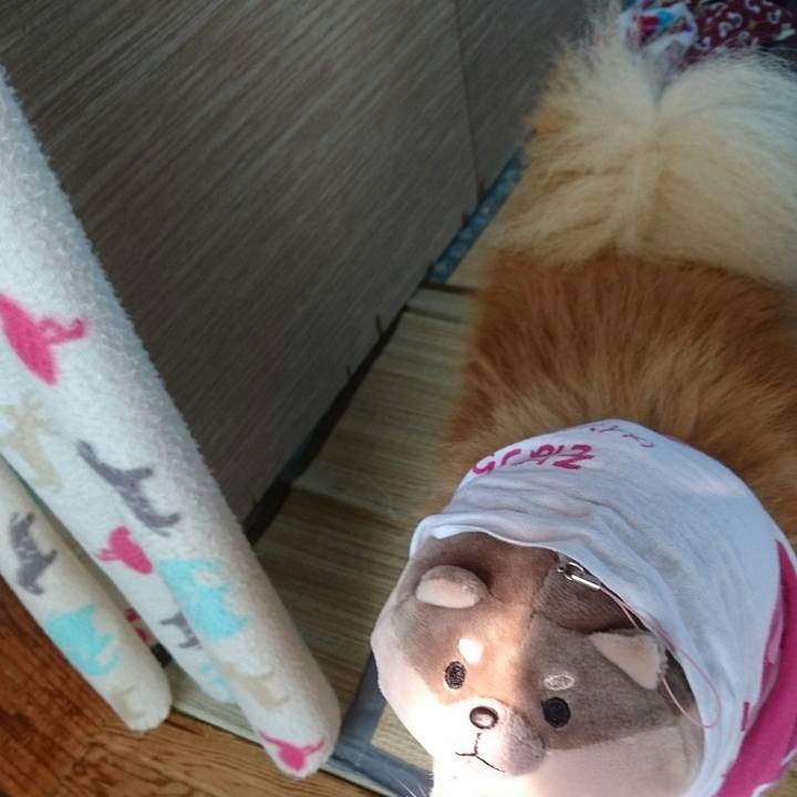 20c06b2b 8655 4a55 9269 89a706938e02