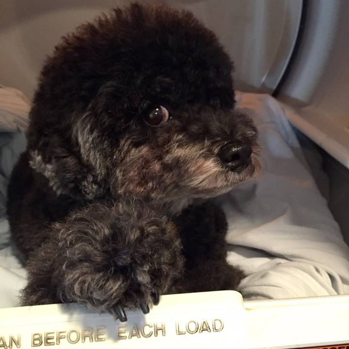 20c0c0bd 1ef9 483c 9170 7cb20f3e055f