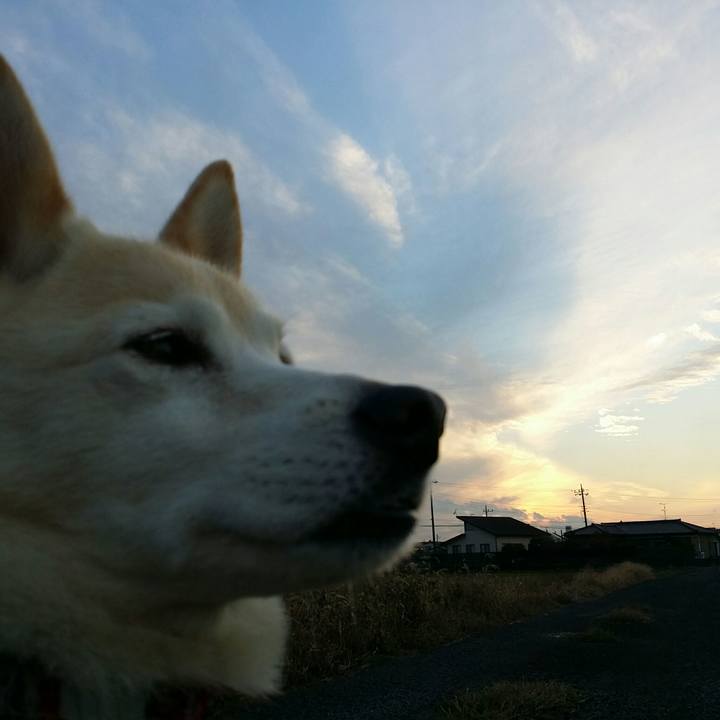 20c2797c e843 42e0 9616 9c26f89d3751