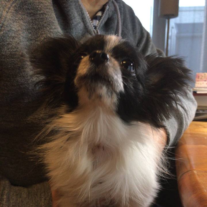 20c292f1 d688 4bcb 8452 0ef488c0a46b