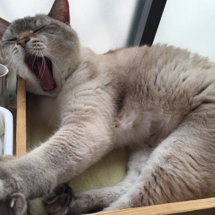 20c300f8 4011 4999 b306 1cd0b4aa0fec