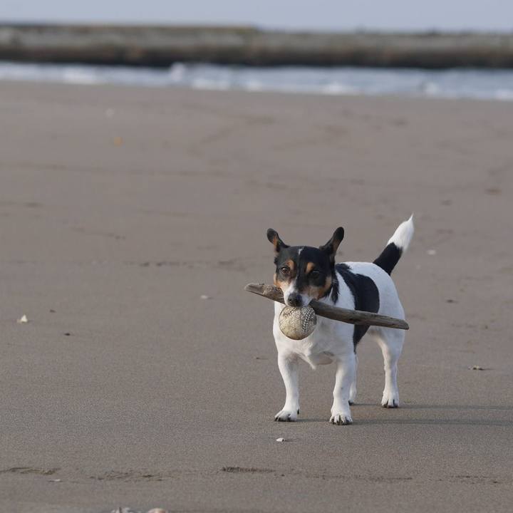 20c3d3ba 7557 4561 bf34 f8f35b6caa49