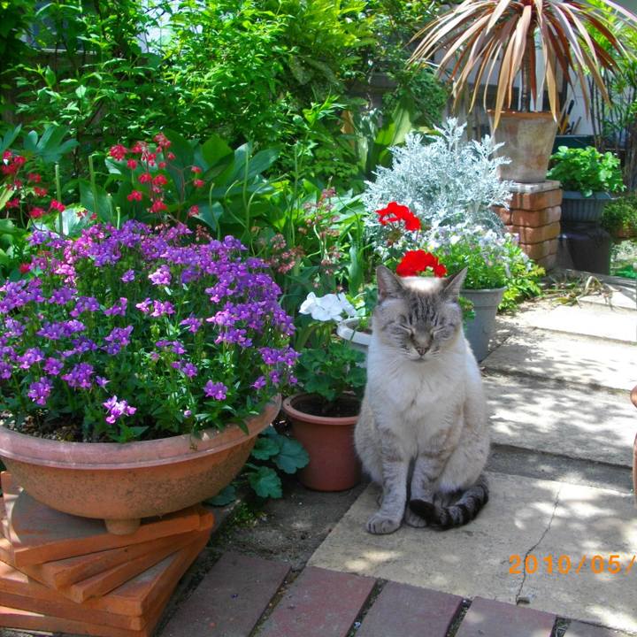 20c4330e 70ca 48e2 85d8 27972b8a225a