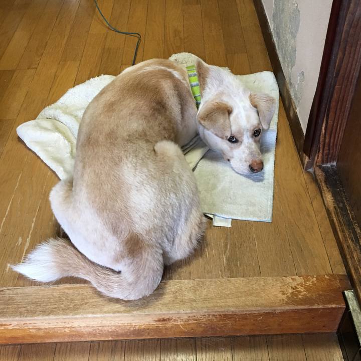 20c47062 0f87 4b7c a29d 68ffbaebb798