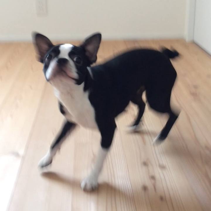 20c5222e 37e0 4ee8 b0ed 53403adc8612