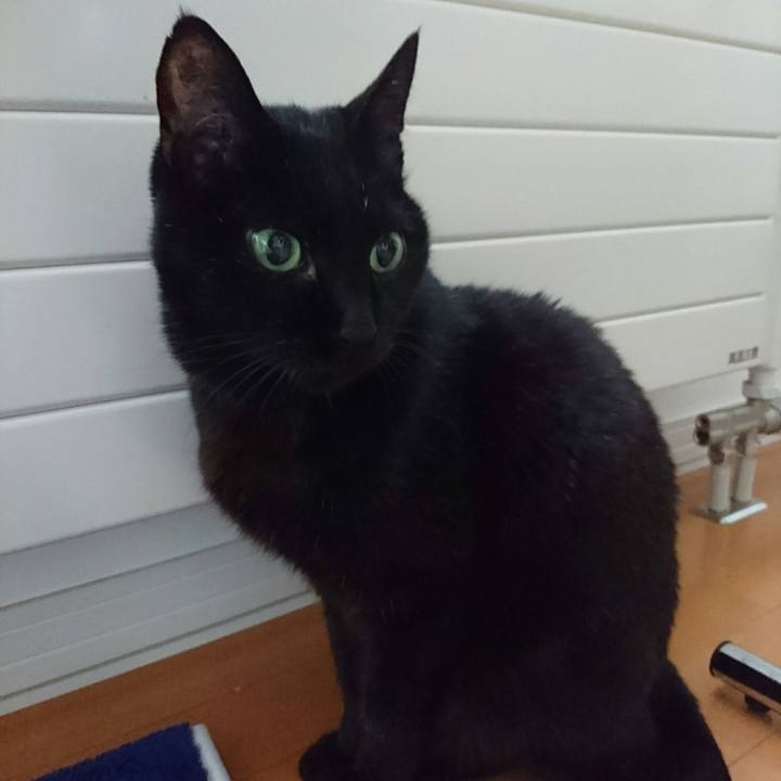 20c5245c 8666 482c adfc 95c6b7bde350