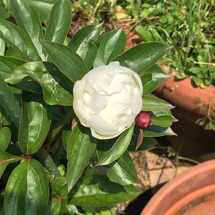 20c54819 58e3 48f4 b56d 7f87ef8f17f3