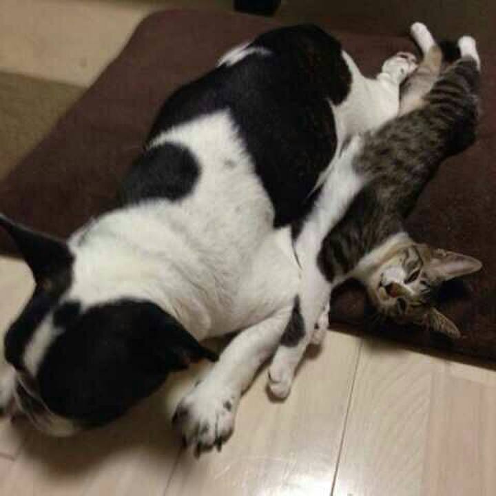 20c5f75e 23f6 4f59 96a0 9e5f788fe1c9