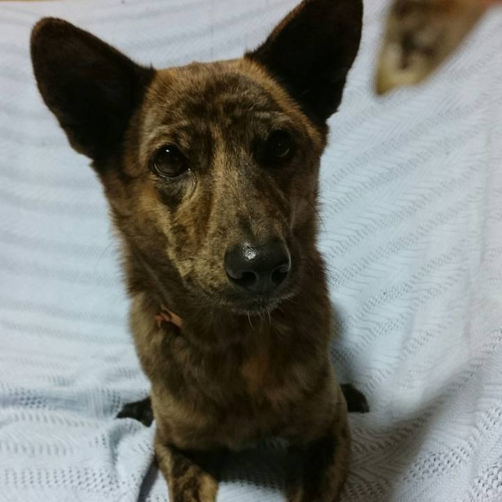 20c5fa63 c064 4e42 9e7f 0d3e1f517b1f