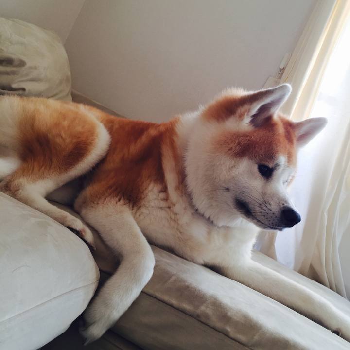 20c6312f 8a2e 4af9 861e b4616c13e637