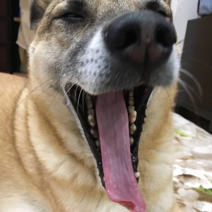 20c66bbb 6d11 4318 8c56 dcbda17e4852