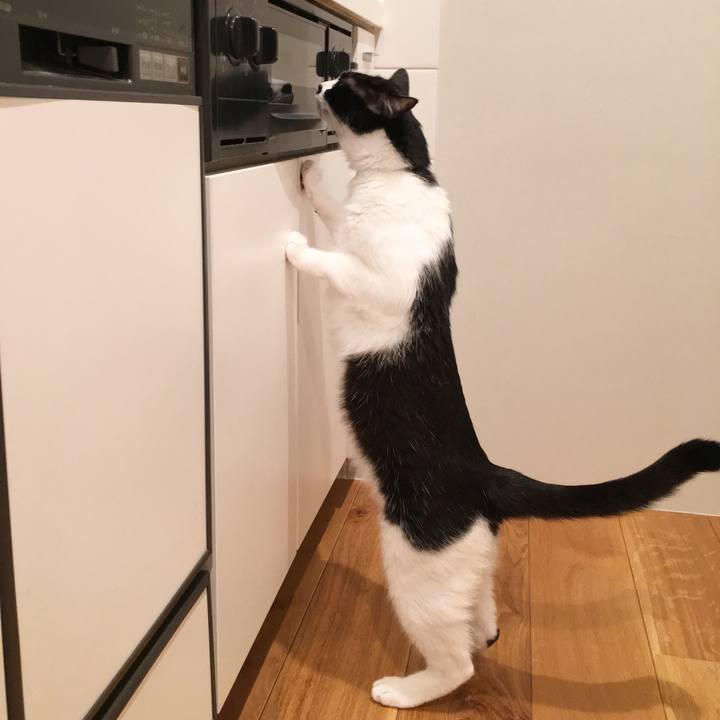 20c67878 3ce0 47fd 8dae 6fee92ce75f0