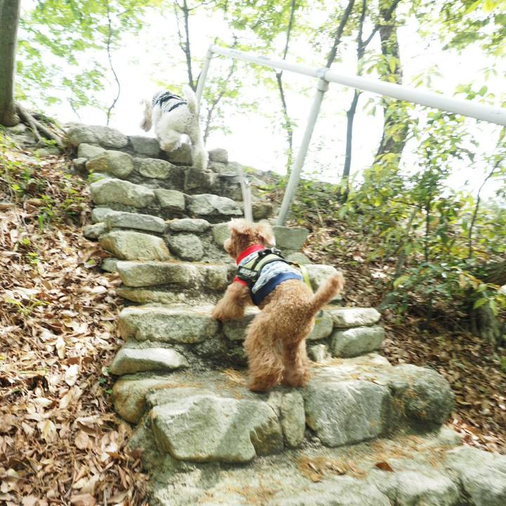 20c6c150 bdfb 40c7 8669 7e82f28fee9e