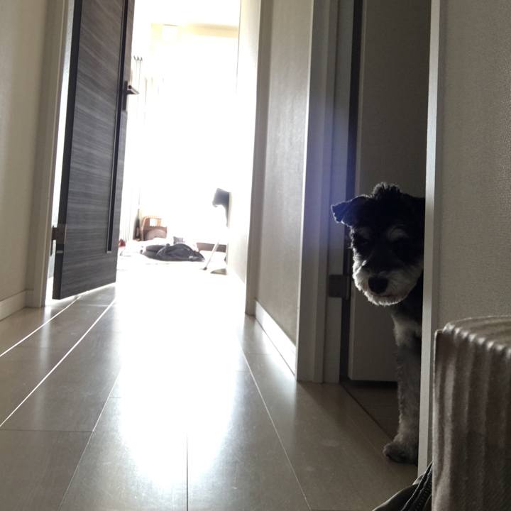 20c72ca4 49c8 4e96 acff cdff5db45ecf