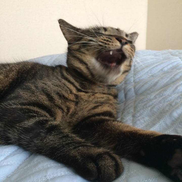 20c75ff4 db30 4fee 982f 22079c96e17d