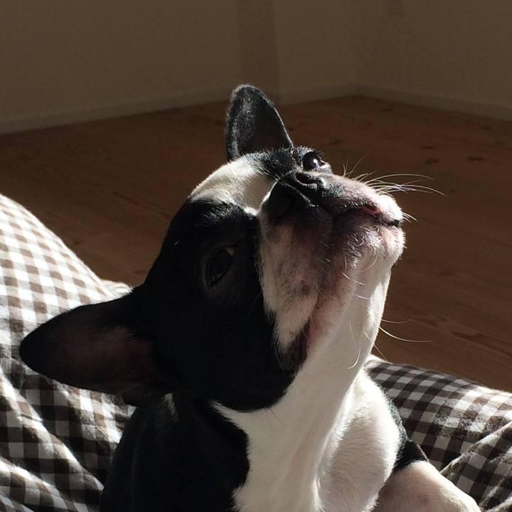 20c83834 4cbb 4bf9 83b3 dd79b369a297