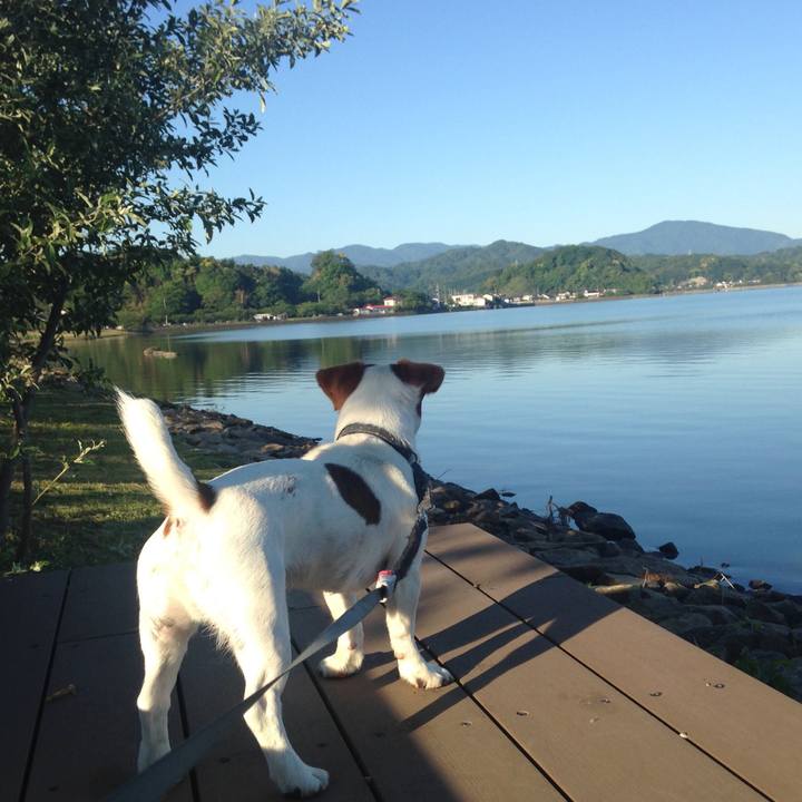 20c86430 118b 40b8 af06 bdf3bdea6cfc