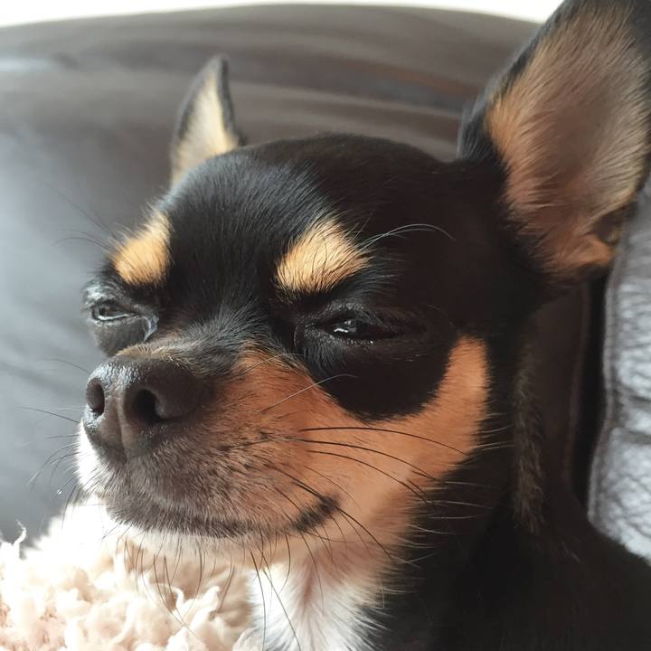 20c87b2a 71f5 492c a720 6afc0b9751f9