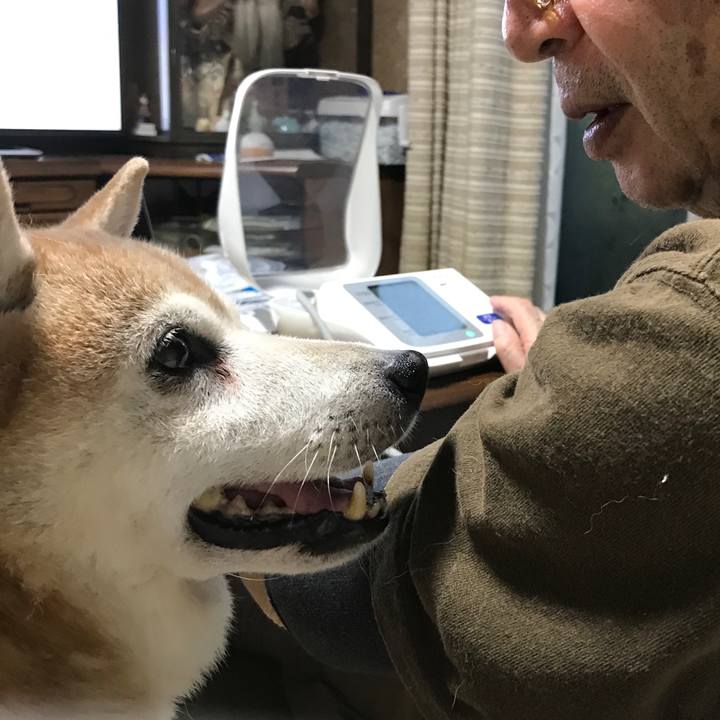 20c8dac5 28ff 43d6 9a7b e750948c1c4c