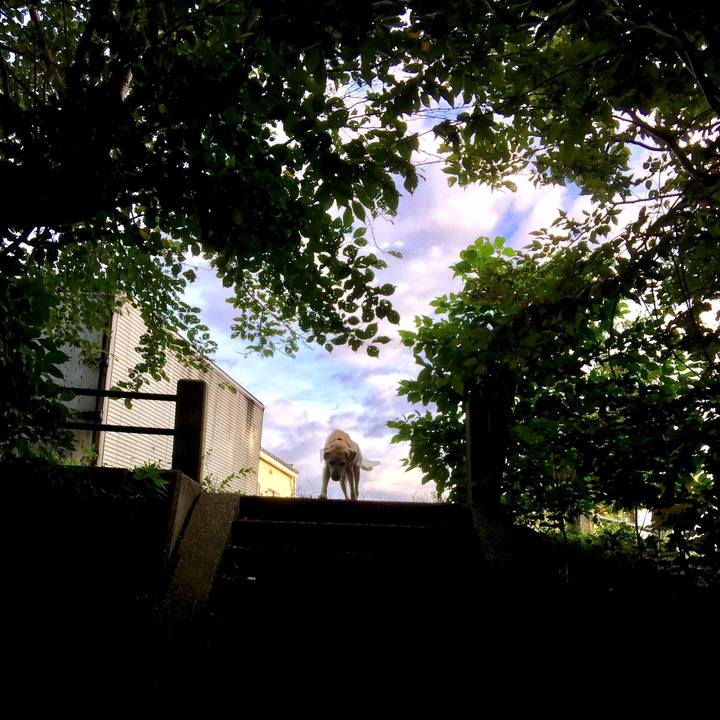 20c9c926 d917 4e46 a7f1 bded76d700eb