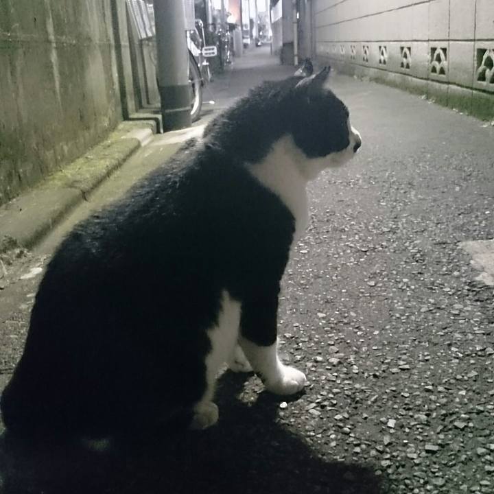 20ca414d 3f22 49f6 bac0 6a9472b64c1b