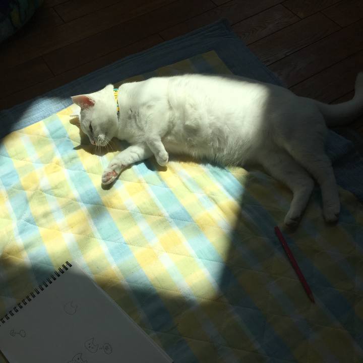 20cafefb e401 471c 905d 55fe7ac70179