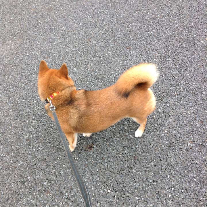 20cc01eb 57d0 46af 8f47 a223bf28ee09