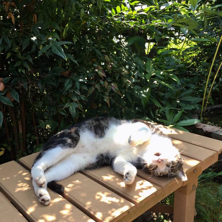 20cc4a02 9742 4876 945f 2105dc419bd0