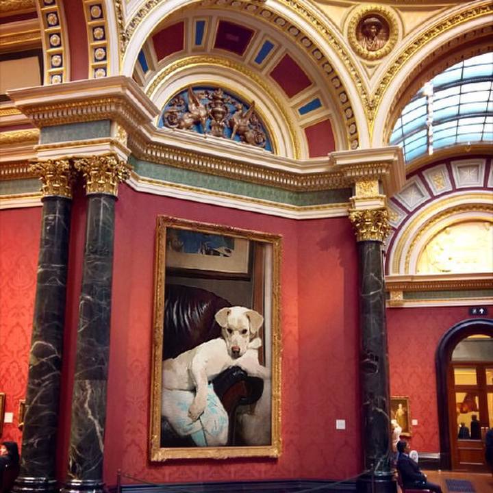 20cc5afd c3b9 4093 9db0 bf2bf7ba921a