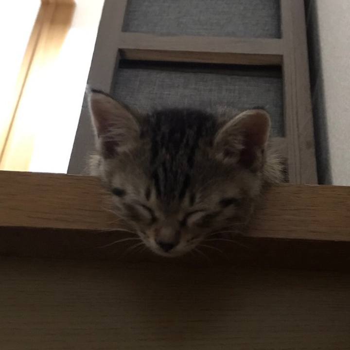 20ccb123 eaf3 40a4 90d9 fc0eb949ab97