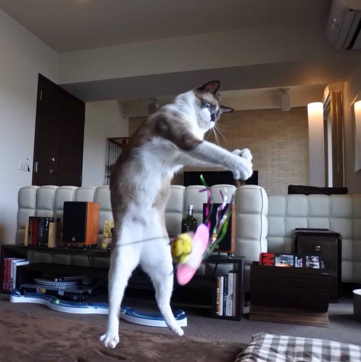 20cd0352 c160 4c95 9af3 7d7ced549fc6