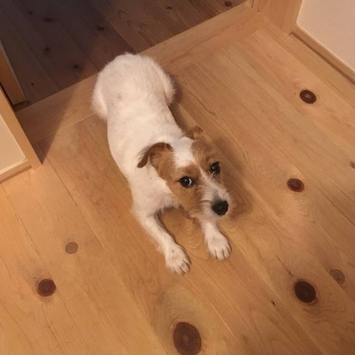 20cd2288 313c 4c8a 8a67 f410edf128c3