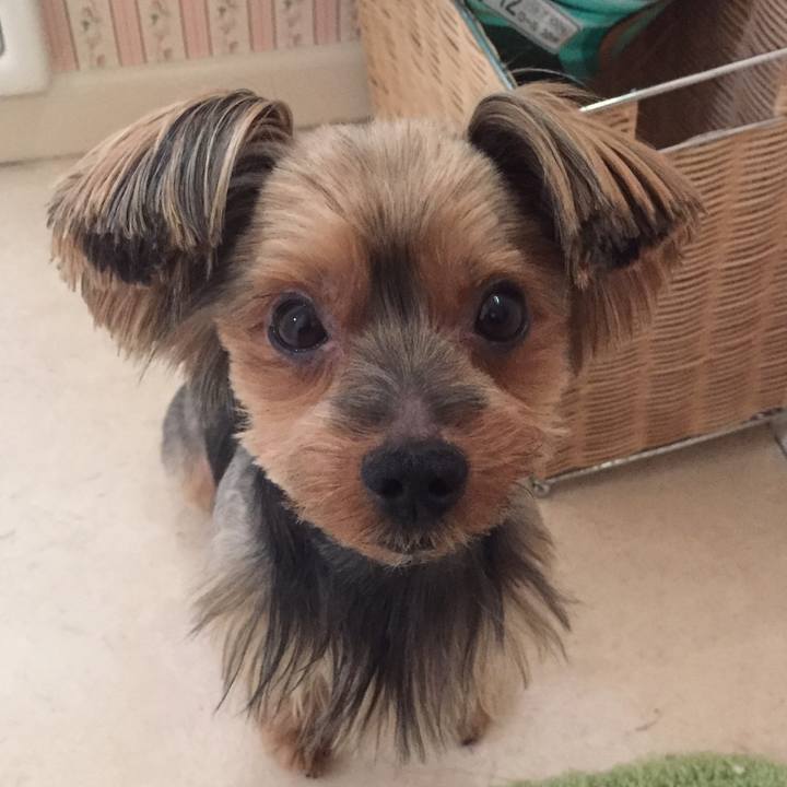 20cd22b7 6606 4776 ba60 cd659d601dfc