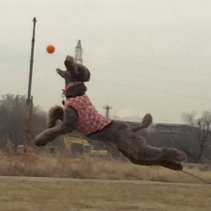 20cd2564 9fd8 4f4c aec0 2e75a94caf93