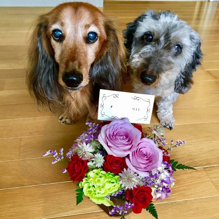 20cd5aa2 2b66 4b62 a226 9326a0b541b4