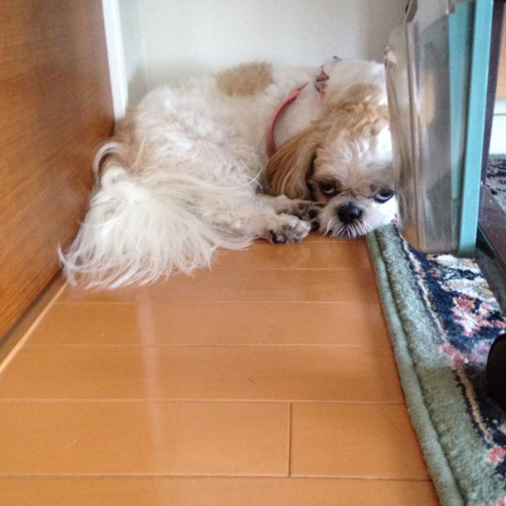 20cd6359 6b8a 47cf abf4 fd25a351a8f7