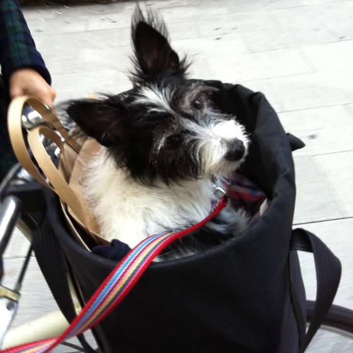 20cee3d8 1560 41f1 a5fc 927a4b294ec0