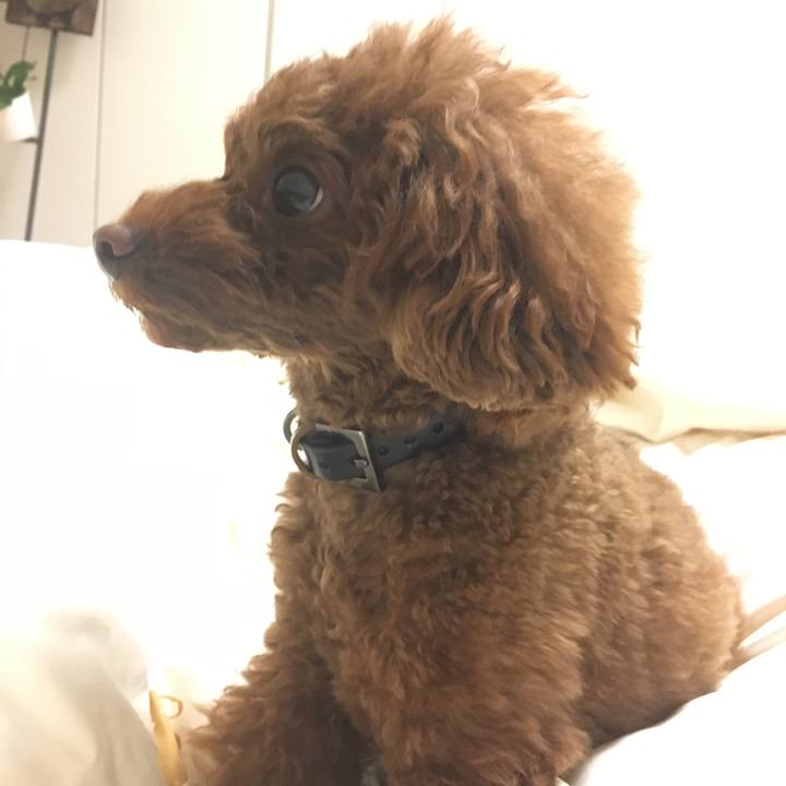 20cf85aa e195 423a bca9 a6cdb9008d05