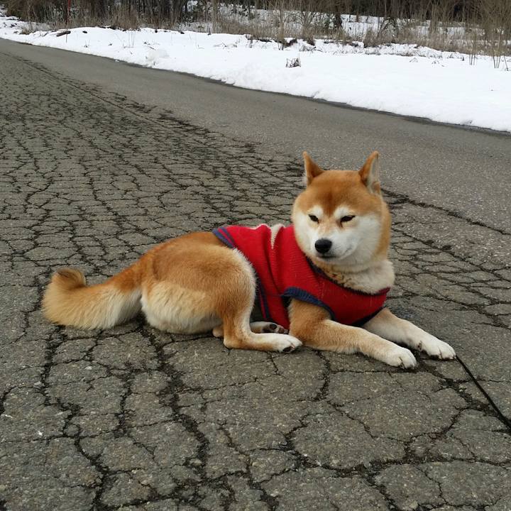 20cf877a ad03 46b5 97e8 c4ea5c41ab12