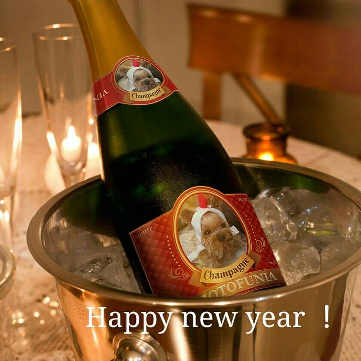 20cf93d6 4600 4c52 af8c 88d1c459fc75