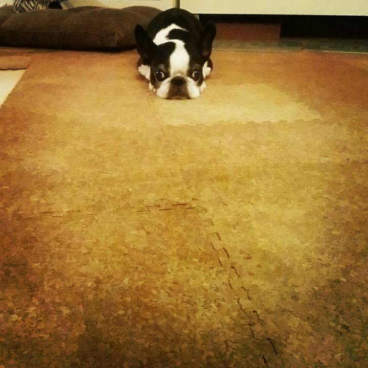 20cfa39d d1f1 4305 9b5b 0aa31c36ae5c