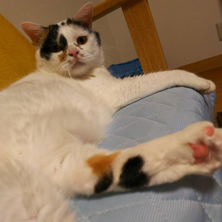 20cfb7fc 9565 441d 9f05 67c92d084b6b