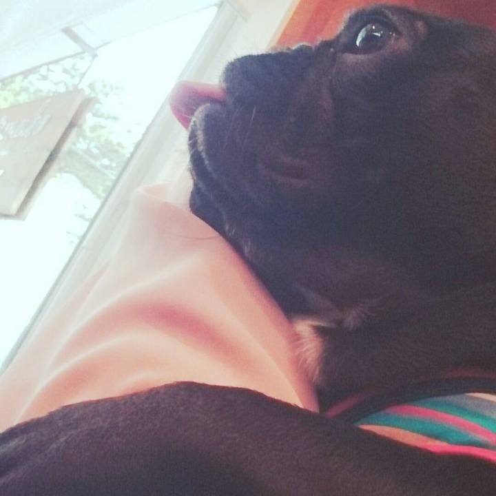 20d07437 4eaf 45eb af08 54b2af8b902e