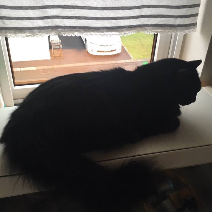 20d09d5c 813e 4023 8f4e 6562f862a263