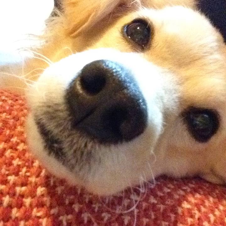 20d0a66e 5132 47b8 9a22 1b201f02c08b