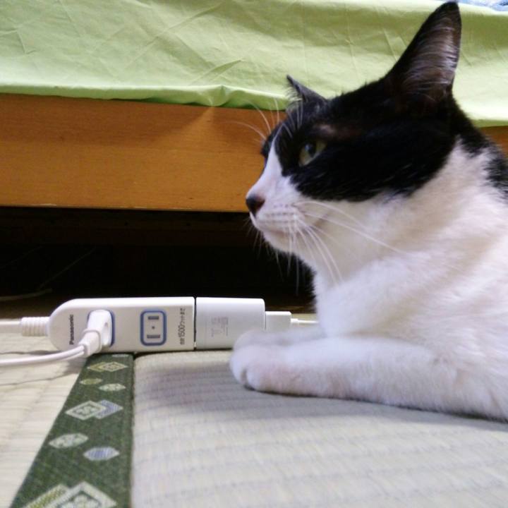 20d14eba b061 428b 8982 484ab25cf0a8