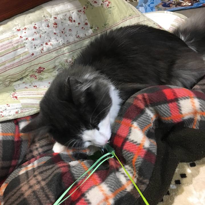 20d15a2a 2c61 4131 976d 9d2bbde9f454