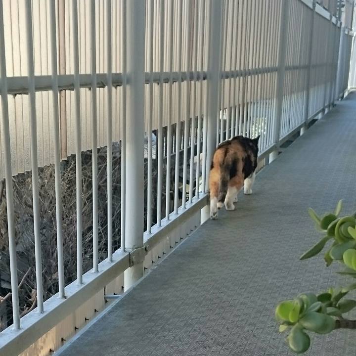 20d169c6 719c 4a49 a625 d9a4bc3e450f