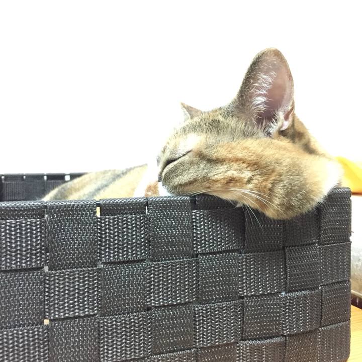 20d182f5 06cc 4cd3 afb7 5d318c9a55ee